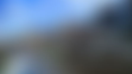 Best Time to Visit Amsterdam