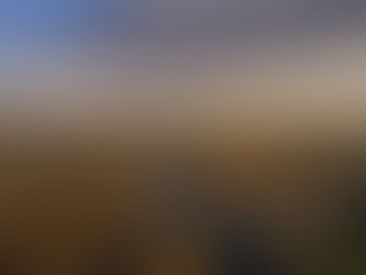 Best Time to Visit Yellowstone