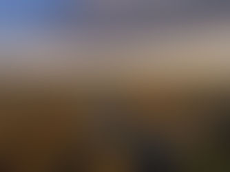 Best Time to Visit Yellowstone