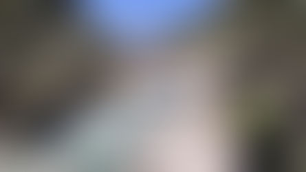 How to Reach Manali from Kolkata - A Complete Travel Guide