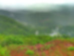 Toranmal hill station weather