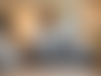 Pet-Friendly Rentals in NC: Where to Stay with Your Furry Friend