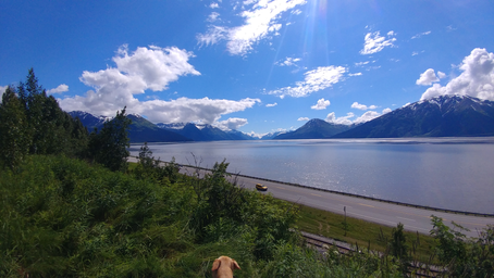 Best Time to Visit Anchorage, Alaska