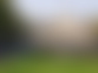 Best Time to Visit Sonoma: A Month-by-Month Guide