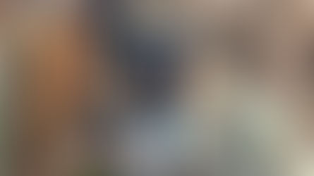 Best Time to Visit Chicago