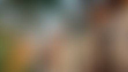 Best Time to Visit Montreal | Canada