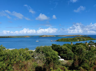 Best Time to Visit Antigua