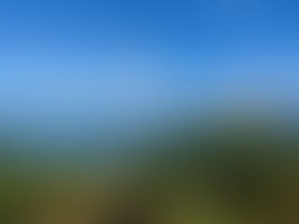 Best Time to Visit Antigua