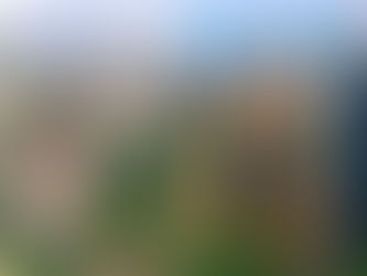 Best Time to Visit South America