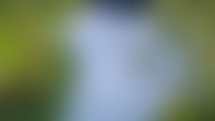 Best Time to Visit Dandeli