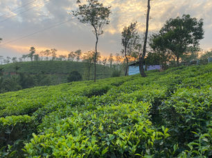 How to Reach Wayanad