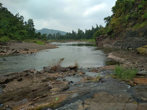 How to Reach Saputara from Vadodara