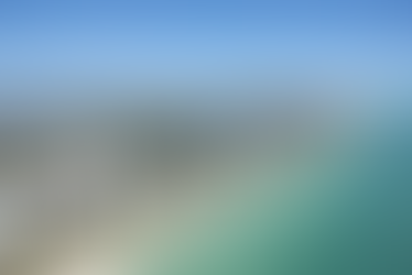 Best Time to Visit Miami | Florida