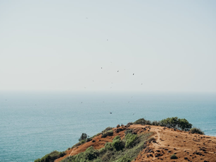 Best Places to Visit in Goa