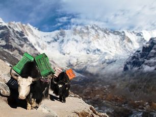 Top Things to See and Do in Nepal’s Annapurna Region