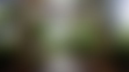 My Memorable Visit to Karnala Bird Sanctuary