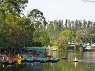Best Time to Visit Yercaud