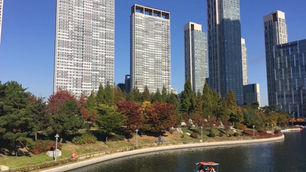 Best Time to Visit South Korea