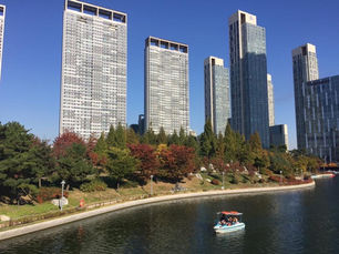 Best Time to Visit South Korea