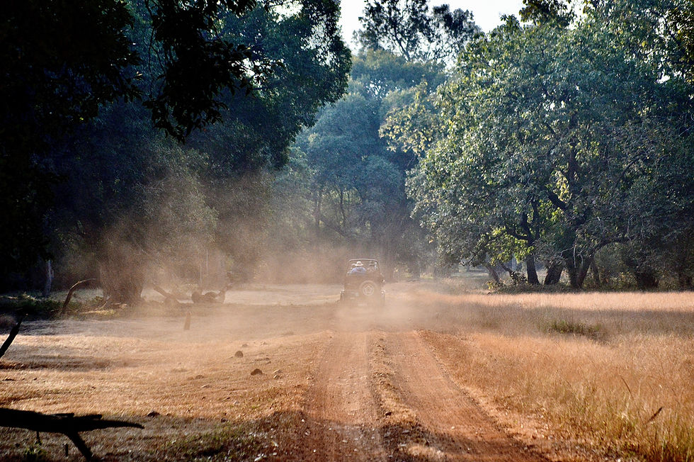 How to Reach Tadoba National Park