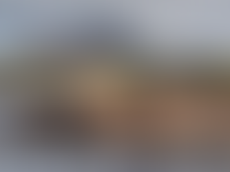 Best Time to Visit Galápagos