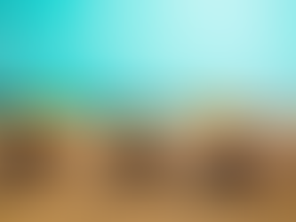 10 Best Things to Do in Goa | India