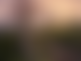 Yemen Travel Guide 2024: Everything You Need To Know