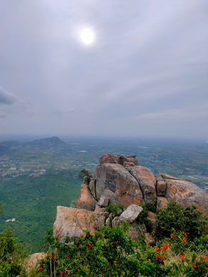 When is the Best Time to Visit Horsley Hills? A Seasonal Guide