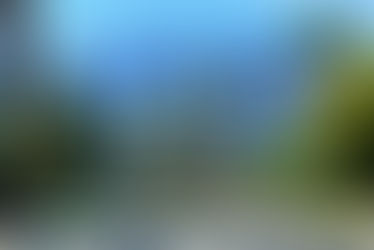 Best Time to Visit Palm Springs