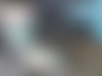 Best Time to Visit Bermuda