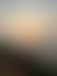 How to Reach Dapoli from Mumbai - A Scenic Coastal Getaway