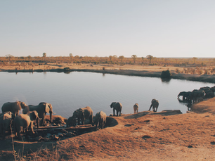 Uncover the Best Time to Visit Zimbabwe - A Travel Guide