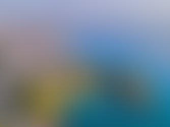 Vietnam Travel Guide 2024: How Much Does a Trip to Vietnam Cost?