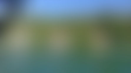 Best Time to Visit Montana