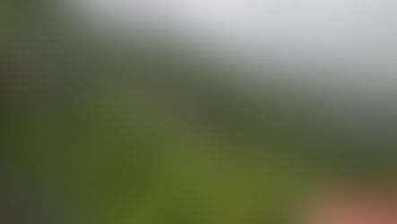 How To Reach Panchgani - A Guide From My Own Experiences