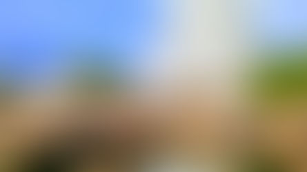 How to Reach Arunachalam Temple from Coimbatore