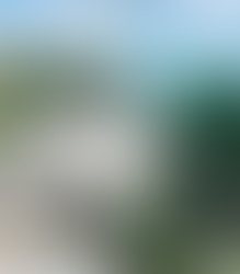 Best Time to Visit Tulum | Mexico