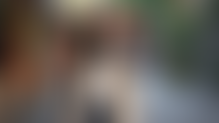 Timeless Japan: Where to Experience Authentic Traditions in 2026