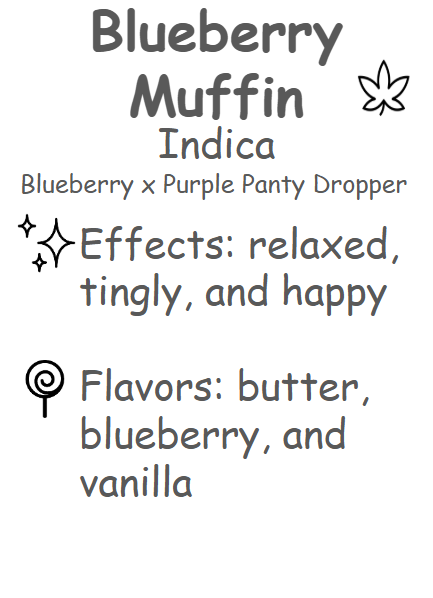 Blueberry Muffin Description Card