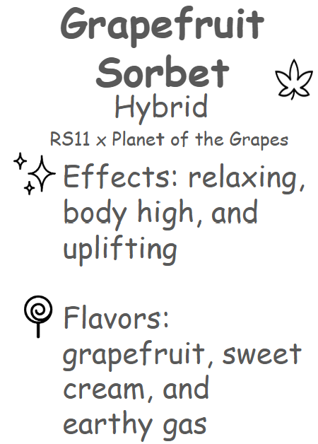 Grapefruit Sorbet Description Card