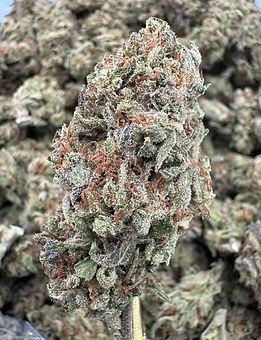 Cannalope Haze.jpeg