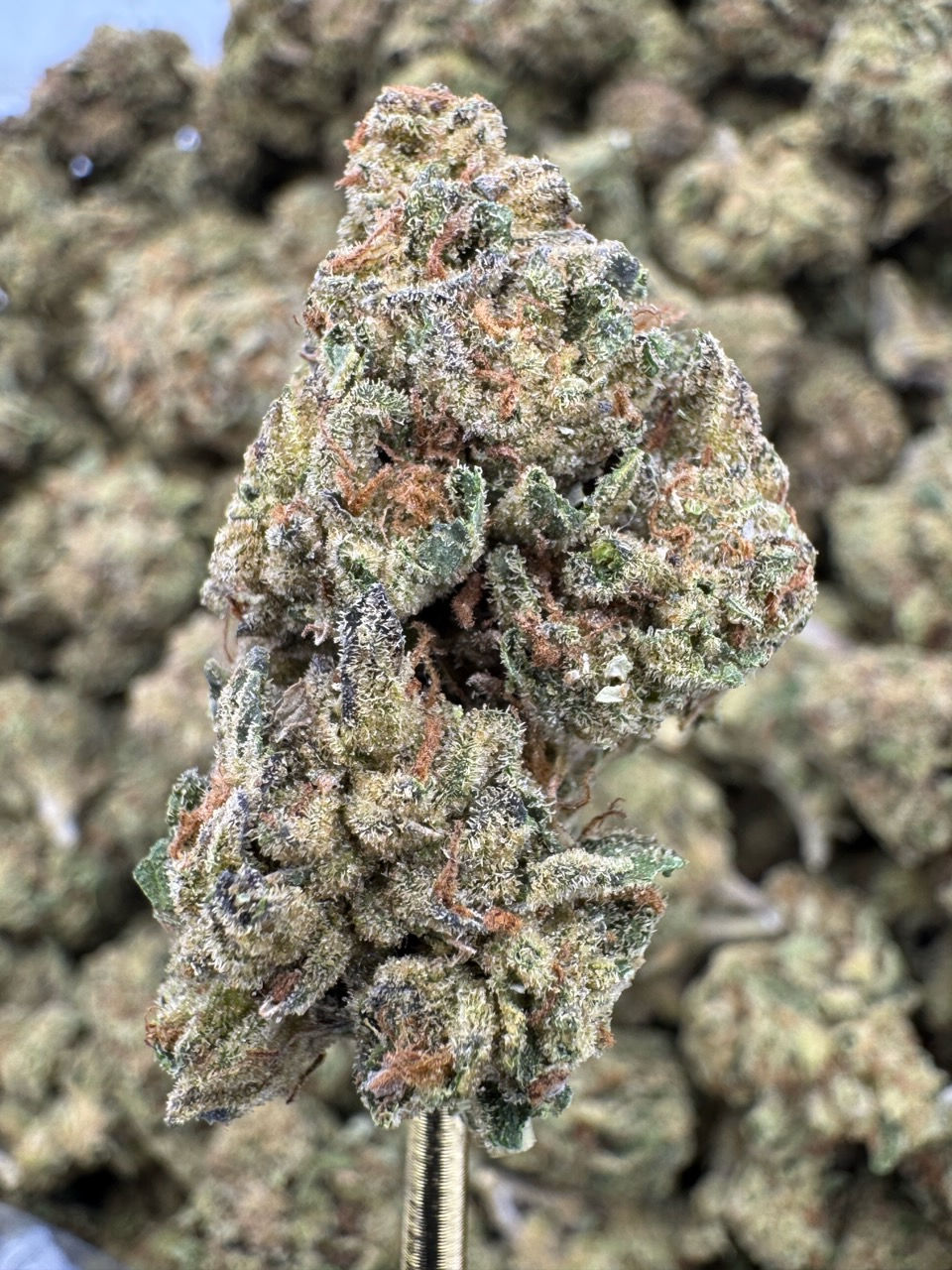 Chemdawg