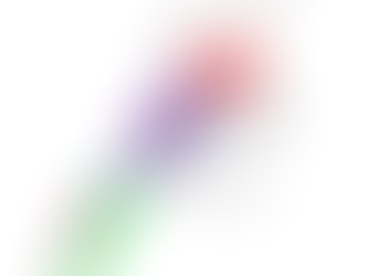 Anatomy Art Study Diary