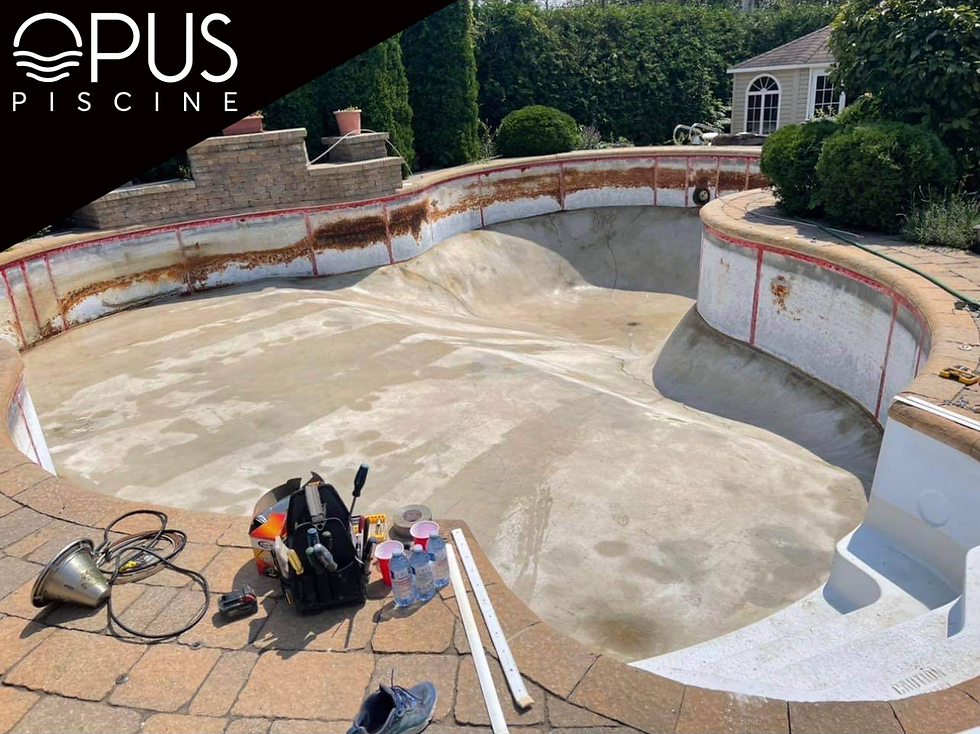 Opus Piscine (Pendant)
