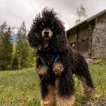 Wandertag1 (1 von 2)_edited.jpg