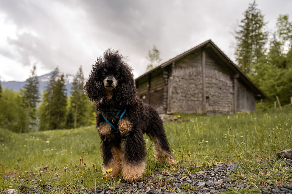 Wandertag1 (1 von 2).jpg