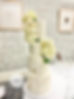 image0 (9).jpeg