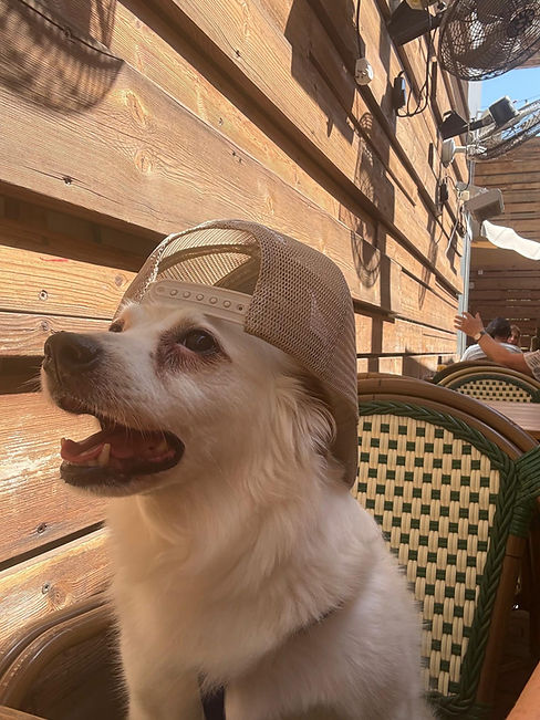 1792 - שלי פרי - שלג תמונה.jpeg