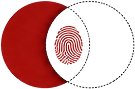 Layer 2.png