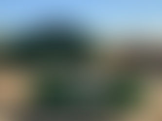 Best Dumpster Rentals for Renovation Debris Long Island | Mattituck Environmental